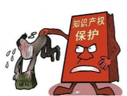 美國(guó)海關(guān)嚴(yán)抓知識(shí)產(chǎn)權(quán)侵權(quán)貨物，賣家別再鋌而走險(xiǎn)